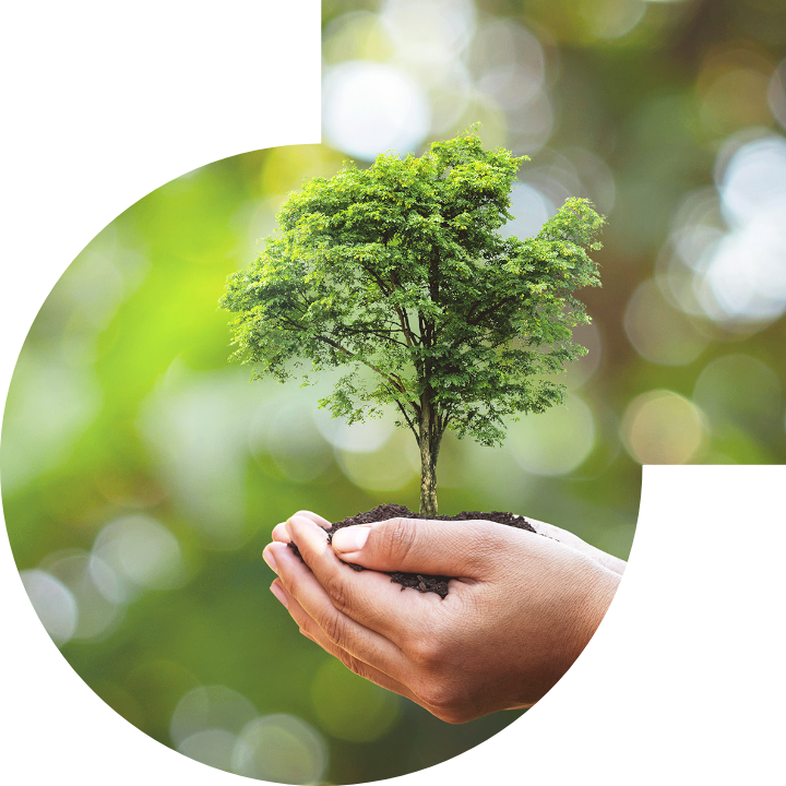 关怀人类、文化、环境与社会